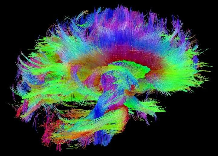 Descubra a Neurocirurgia Oncológica: Quando é Hora de Procurar um Especialista